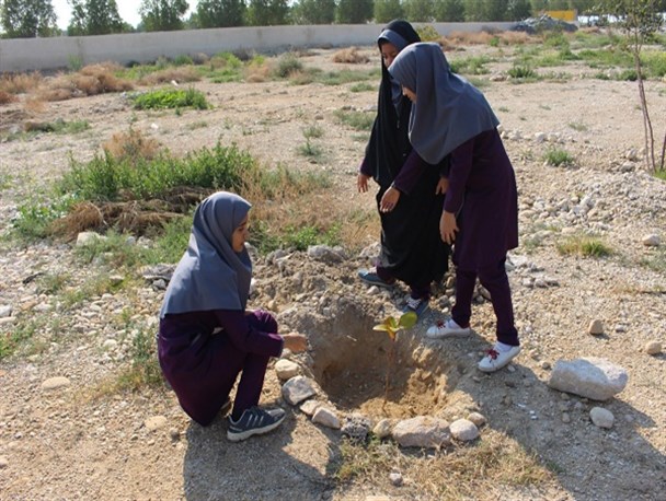 کاشت ۳۰۰ نهال توسط دانش آموزان در ساحل شهر بنک