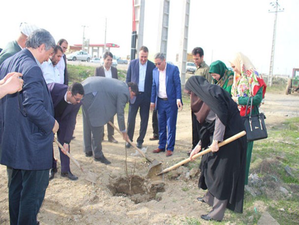 غرس نهال باحضور معاون هماهنگی امور عمرانی استاندار در ورودی شهر گمیش تپه+تصاویر