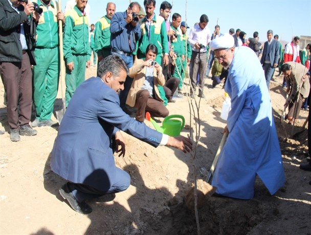 مراسم روز درختکاری در شهرستان قاین برگزار شد + تصاویر