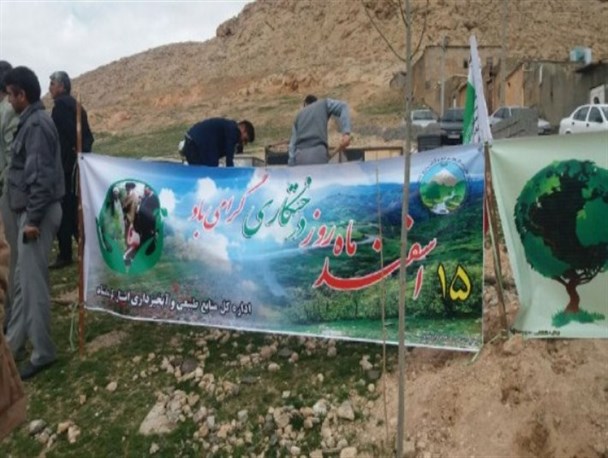 مراسم روز درختکاری در هرسین برگزار شد+ تصویر