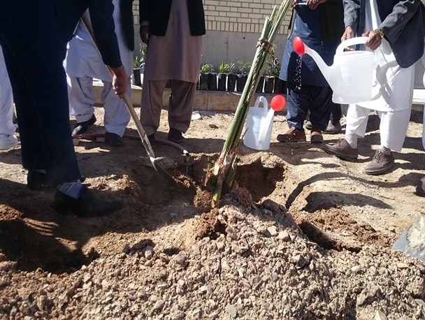 کاشت نهال مهربانی در روز تجدید حیات در شهرستان سراوان+تصاویر