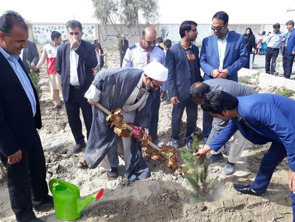 کاشت 120 اصله نهال در شهرستان هیرمند