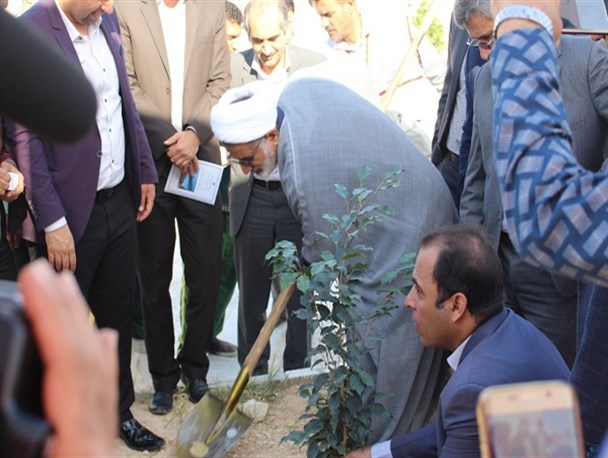 مراسم روز درخت کاری در کنگان برگزار شد