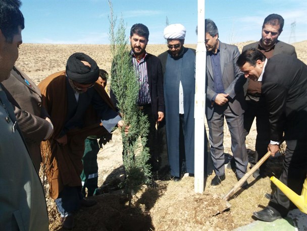 غرس درخت در آرامستان رضوان فیروزکوه
