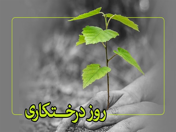 روز درختکاری، فرصتی برای آشتی با طبیعت
