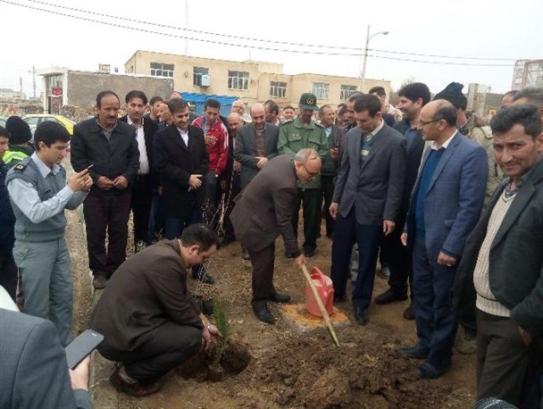 روز درختکاری در خدابنده+تصاویر