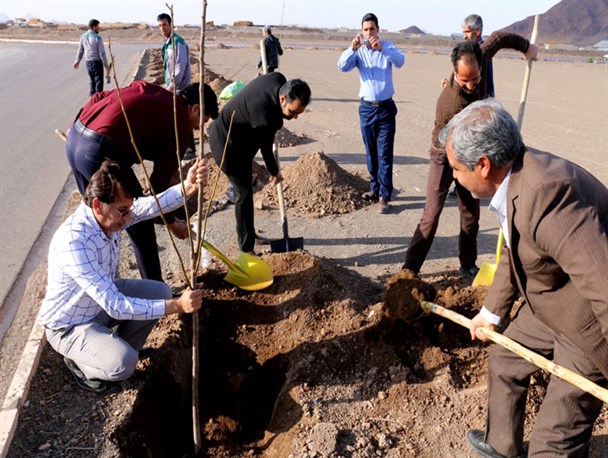 غرس 5 هزار اصله نهال در بجستان+ تصاویر