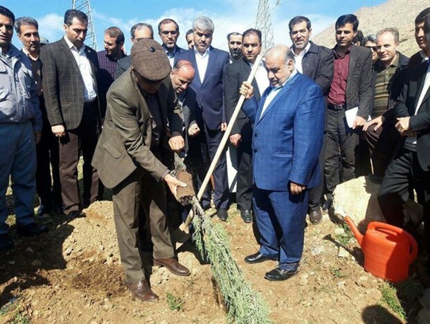 غرس ۲۵۰۰ اصله نهال در بیمارستان امام رضا(ع) کرمانشاه