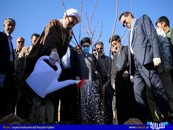 مراسم روز درختکاری در شیراز+عکس