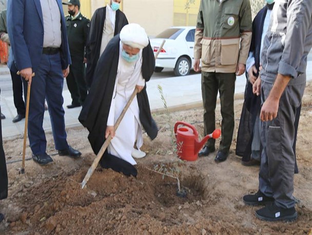 کاشت نهال توسط امام جمعه یزد به مناسبت روز درختکاری+تصاویر