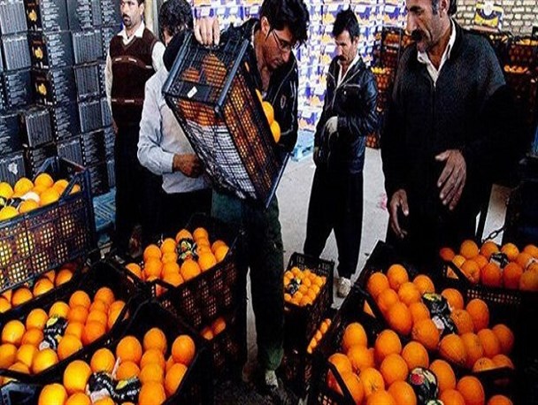 عدم نظارت جدی بر بازار میوه و تره بار خراسان جنوبی/ هزینه حمل موجب گرانی میوه می‌شود