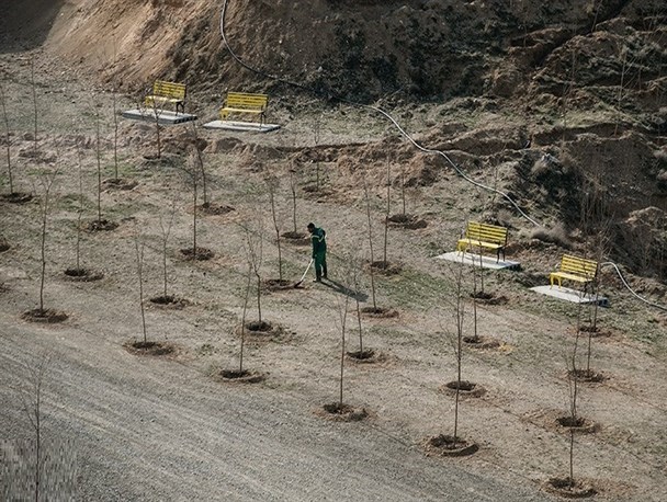 ایجاد پوشش گیاهی؛ مرهمی بر زخم های برجای مانده از خشکسالی در سیستان