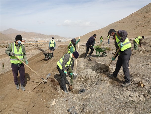 عکس/ کاشت درخت در دره گردوی اراک