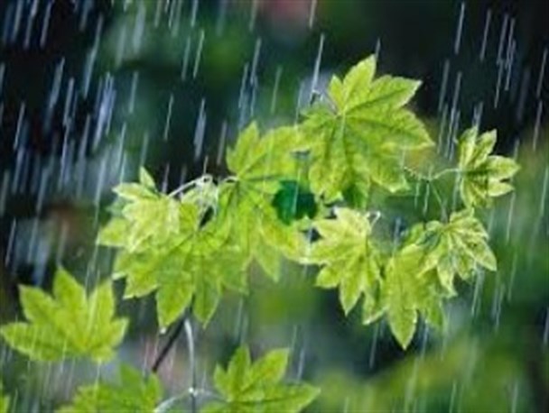 سیستان و بلوچستان همچنان بارانی می ماند/ کاهش 5 درجه ای دمای هوا در استان