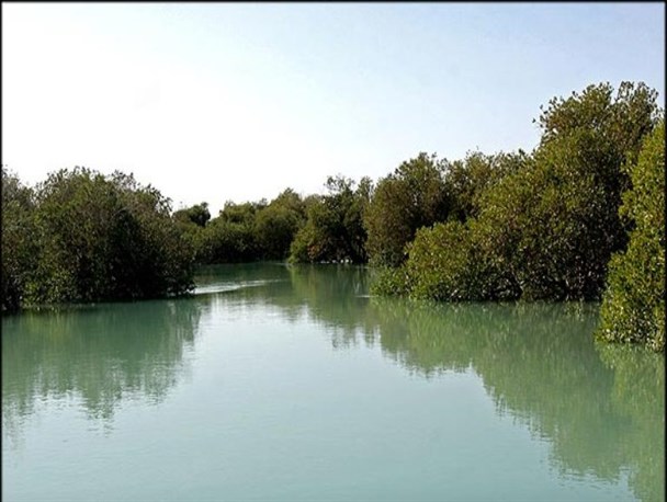 اردوی علمی تفریحی اعضای کمیته بانوان میناب به مناسبت گرامیداشت روز زن