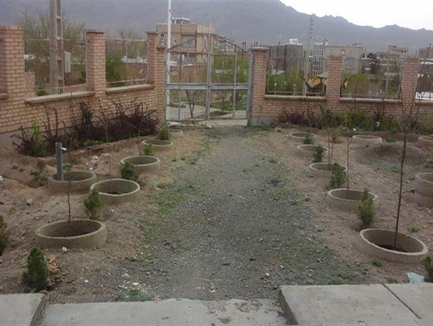 کاشت سی اصله نهال در کتابخانه عمومی شهرستان باخرز