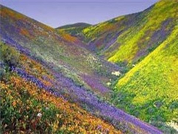 رضایتمندی مراجعین از ارائه خدمت اداره منابع طبیعی همدان