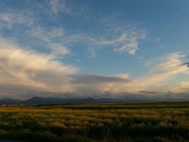 جشنواره عکس بوی بهار از روستای ایگدر سفلی+تصاویر