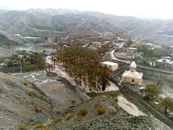 نگاهی به یکی از اصلی ترین نقاط تولید خرمای مرغوب بشاگرد + تصاویر