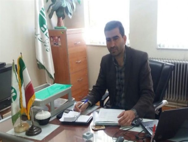 رهاسازی داوطلبانه ۴ کبک در شاهین‌دژ/ کمبود نیروی یگان حفاظت محیط‌زیست مشهود است