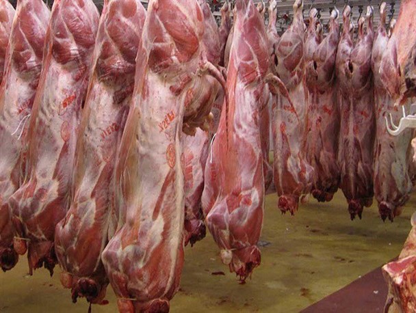 تحقق ۱۰۰ درصدی طرح پیشران گوشت قرمز در مریوان/ اشتغال‌ ۵۶ هزار کُردستانی در حوزه کشاورزی و دامپروری