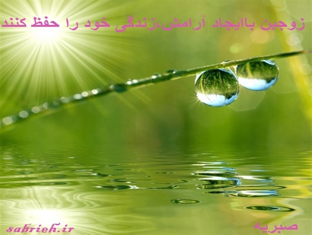 زوجین باایجاد آرامش،زندگی خود را حفظ کنند
