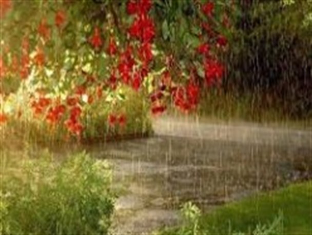 بارش باران بهاری ۱۰ میلیمتری در دهاقان