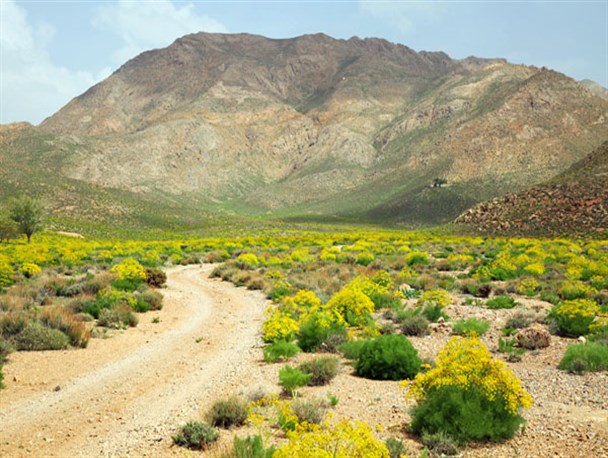 اردیبهشت در بام فارس/طبیعت زیبای «بیدستان»