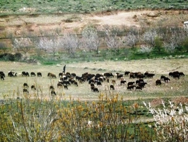 طبیعت زیبای اطراف روستای بنایم در ملکان