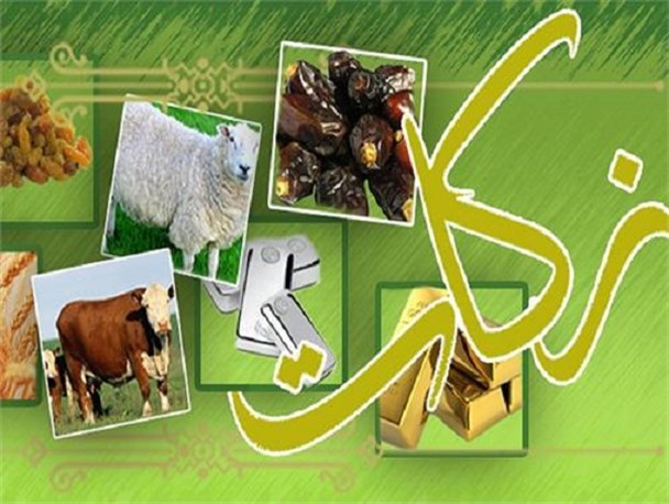 احیای فرهنگ ذکات موجب کاهش فاصله طبقاتی می شود