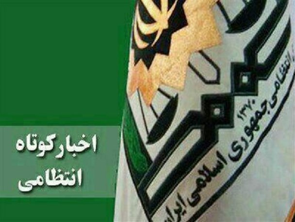 کشف ۱۷تن چوب قاچاق و ناکامی مسافران در حمل مواد مخدر