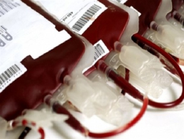 نذر خون قزوینی‌ها در شب‌ قدر