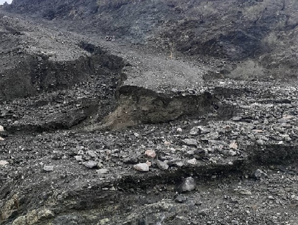 کوهشاه را آب برد؛ مسئولان را خواب/ خسارت سنگین بارندگی به حوزه‌ راه، دام پروری و کشاورزی