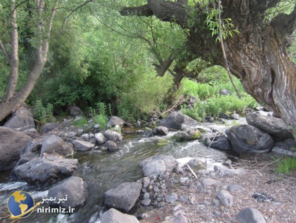 جلوه های زیبا از طبیعت بکر شهرستان نیر