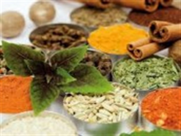 عدم وجود دانش و تجهیزات لازم برای فرآوری گیاهان‌ دارویی باعث خام فروشی میشود