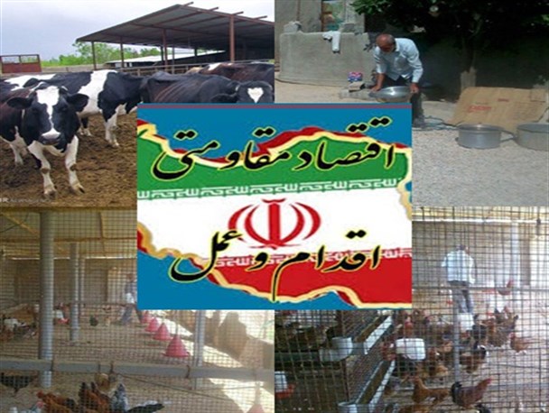 برخی مسئولین گوشت برزیلی را بر گوشت با کیفیت دام استان ترجیح می دهند/عدم بازار مصرف مهمترین مشکل فعالین اقتصاد مقاومتی
