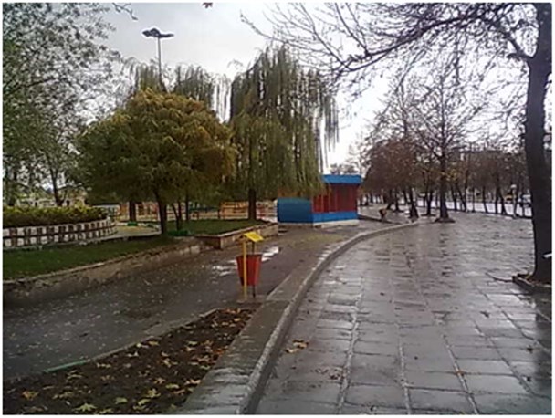 پاکسازی محوطه پارک شهر با همکاری انجمن سلامت روان بانوان کامیاران