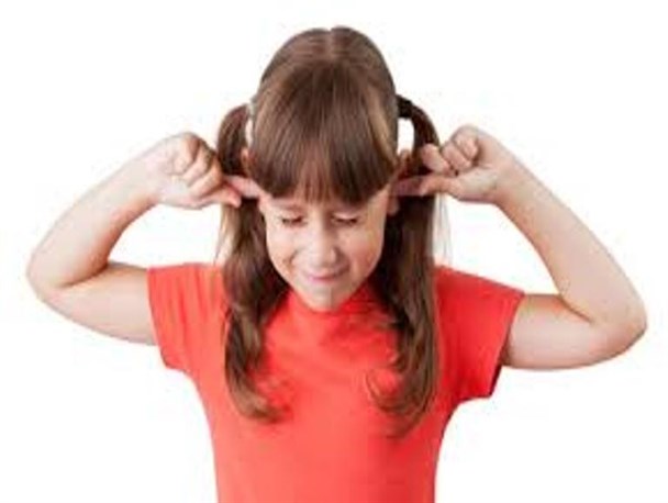 آلودگی صوتی یکی از مهمترین آلودگی های پنهان محیط زیست است