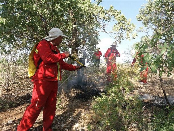 مهار آتش سوزی دره‌گلی شهرستان بویراحمد