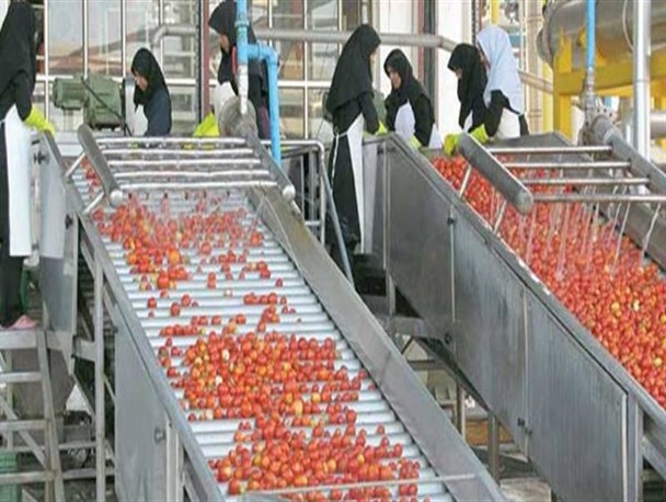 ایجاد اشتغال با راه‌اندازی کارخانه صنایع تبدیلی در ریگان/ پروژه ده ساله شهرستان در انتظار تأمین اعتبار!