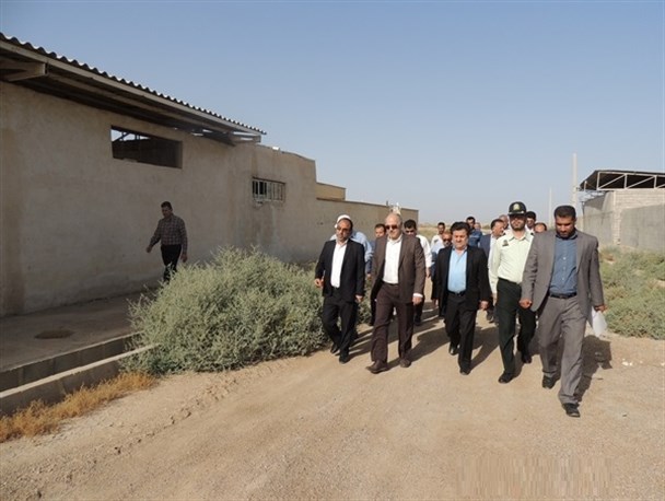 بازدید رئیس سازمان جهاد کشاورزی خوزستان از شهرک گاومیش داری شهرستان کارون +تصاویر