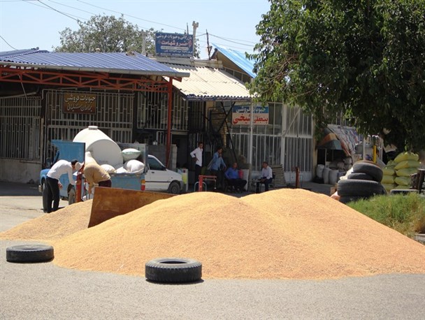 مطالبات اعضای تنها میدان گندم کشور در بایگانی مسئولین/ حبوبات‌فروشان به دنبال تحقق مطالبات واقعی و قانونی خود هستند