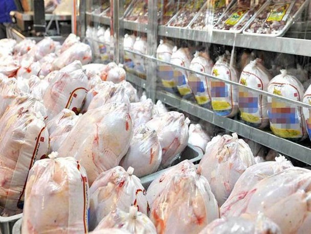 سیاست‌های دستوری برای تولید جوابگو نیست/ کم‌کاری دولت در دوران شیوع کرونا علت اصلی افزایش قیمت مرغ