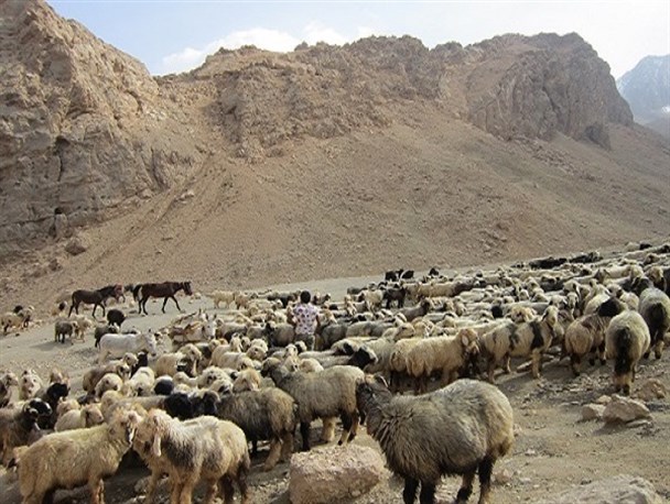 عشایر در محاصره خشکسالی/ معضل بی‌آبی در لرستان خیمه زد