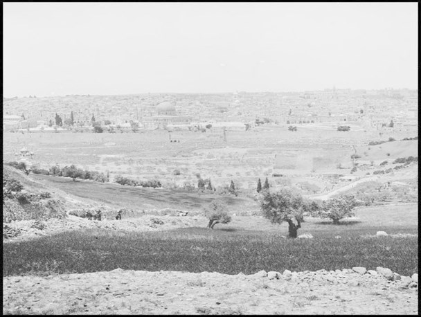 تصاویر نادر از فلسطین در قرن گذشته