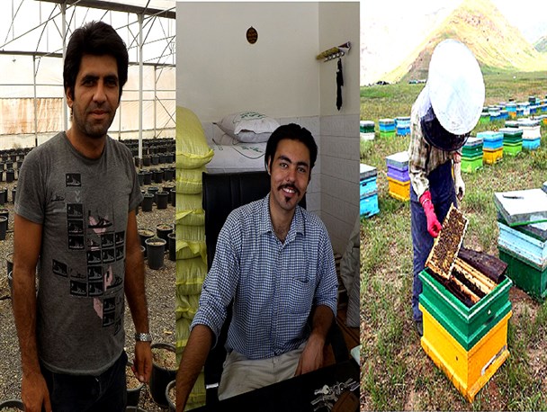 تولیدکنندگان شهرستان میانه در انتظار حمایت دولت/ وقتی سرمایه‌های کوچک به درآمدهای میلیونی ختم می‌شود+تصاویر