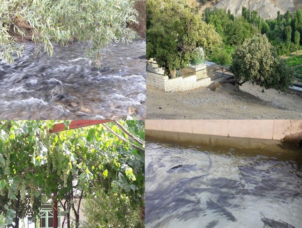طبیعت زیبا و حال خوش این روزهای منطقه گردشگری سفید برگ جوانرود
