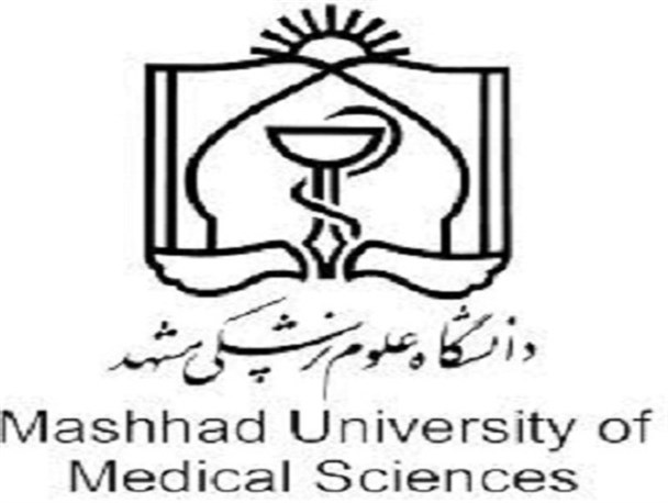 12 بیمارستان در مشهد مجوز گردشگری سلامت دارند