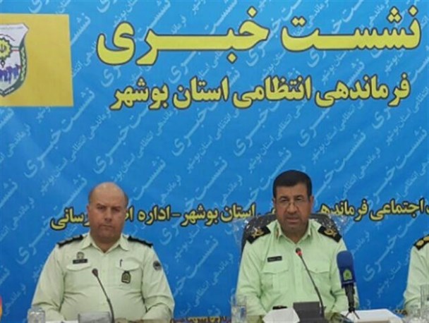 احتمال سقطی بودن جنین دریده شده توسط یک سگ در تنگستان/ عدم هماهنگی شهرداری با پلیس در احداث چرخ و فلک بوشهر