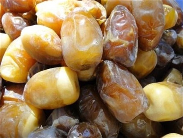 برداشت خرما در شهرستان سرباز آغاز شد+تصاویر